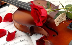 violin-red-rose